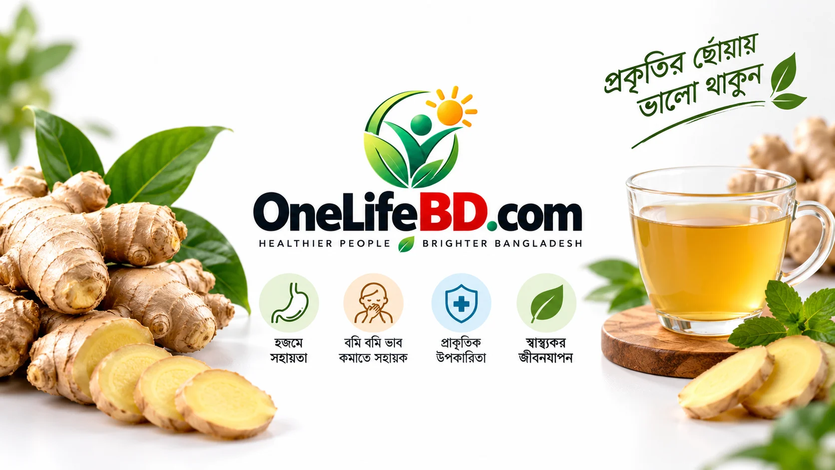 আদা খাওয়ার উপকারিতা ও বমি বমি ভাব কমাতে আদার ব্যবহার