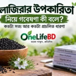 কালোজিরার উপকারিতা নিয়ে গবেষণা, রক্তে শর্করা, কোলেস্টেরল ও রক্তচাপের ওপর সম্ভাব্য প্রভাব